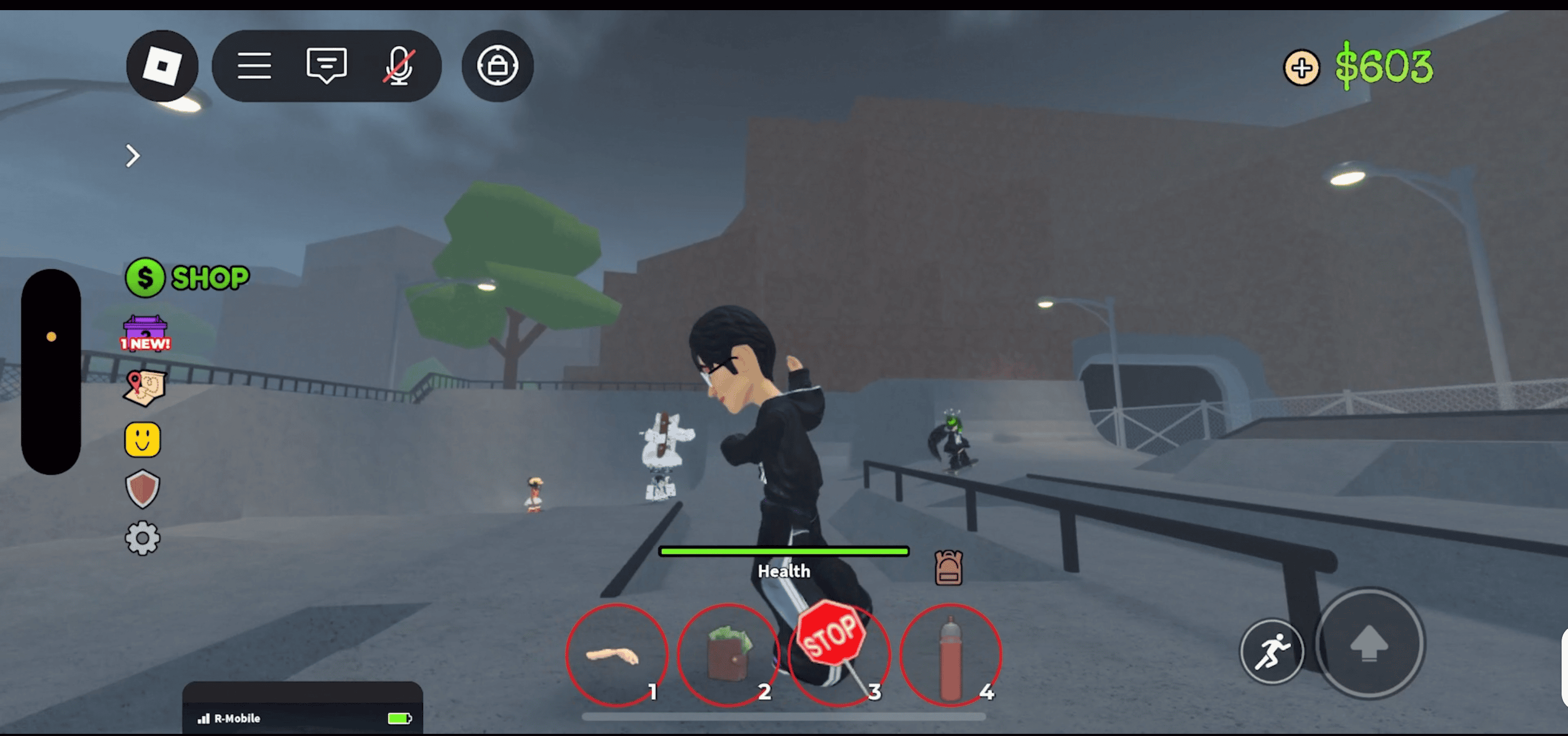 roblox_playtime.png